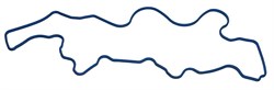 111181011 06021/111181011 Прокладка крышки клапанов HINO 500 J08E HINO NG